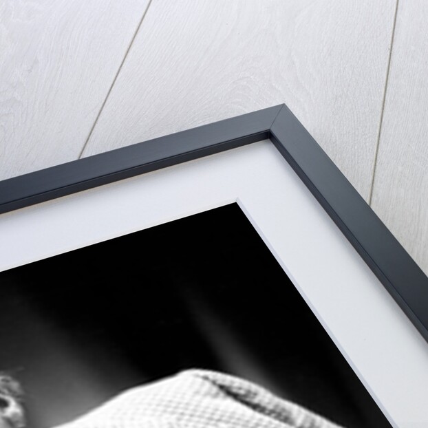 Christopher Lee points by Associated Newspapers