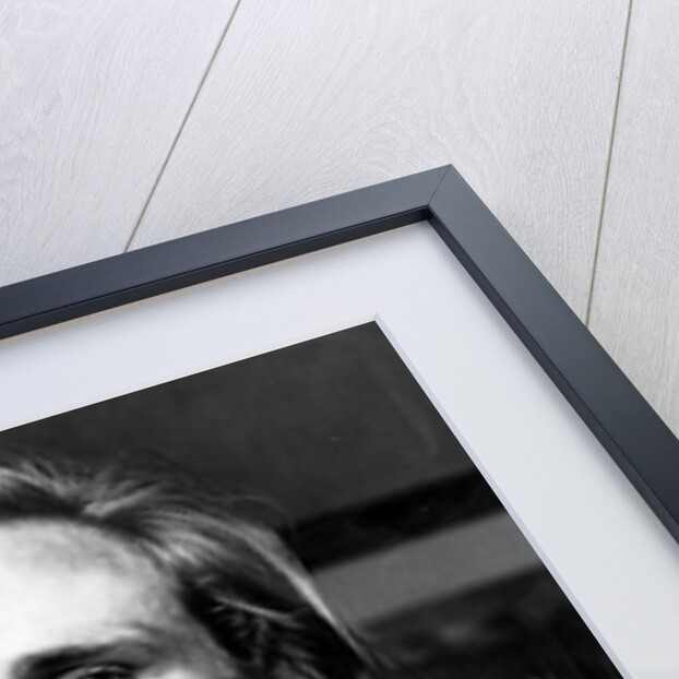 Champion tennis player Bjorn Borg by Associated Newspapers