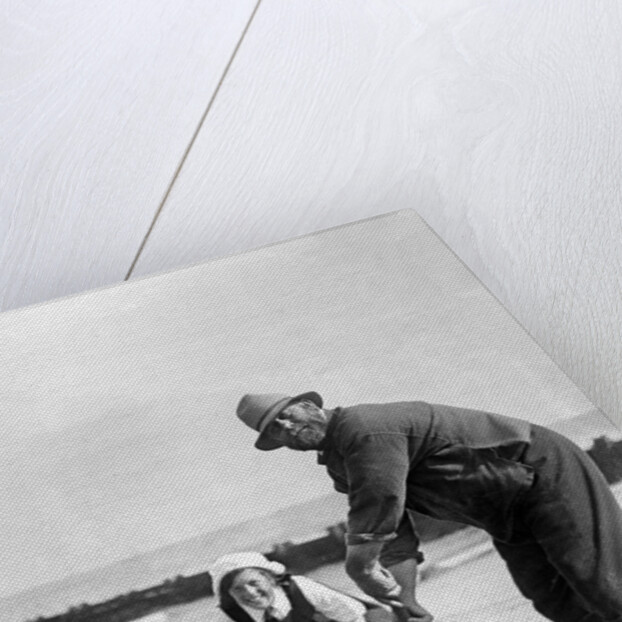 Cricket on the Beach by Associated Newspapers