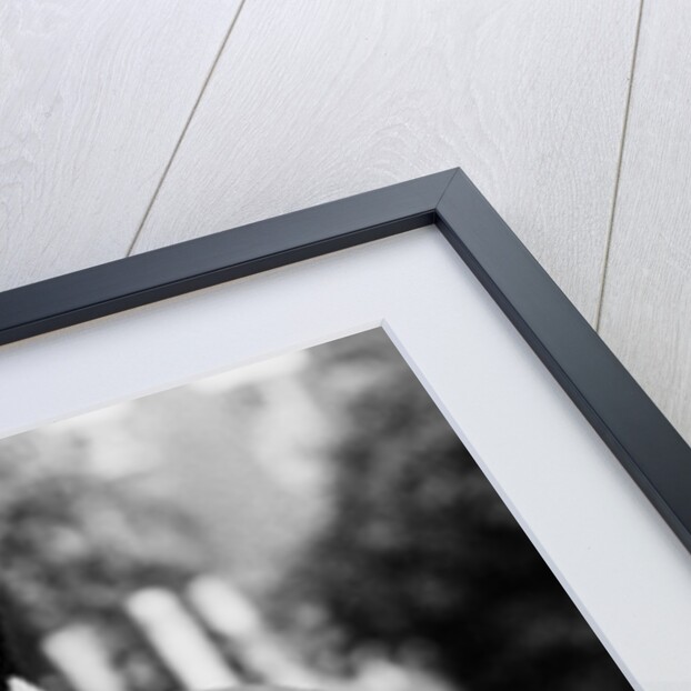 Tom Jones, singer by Associated Newspapers