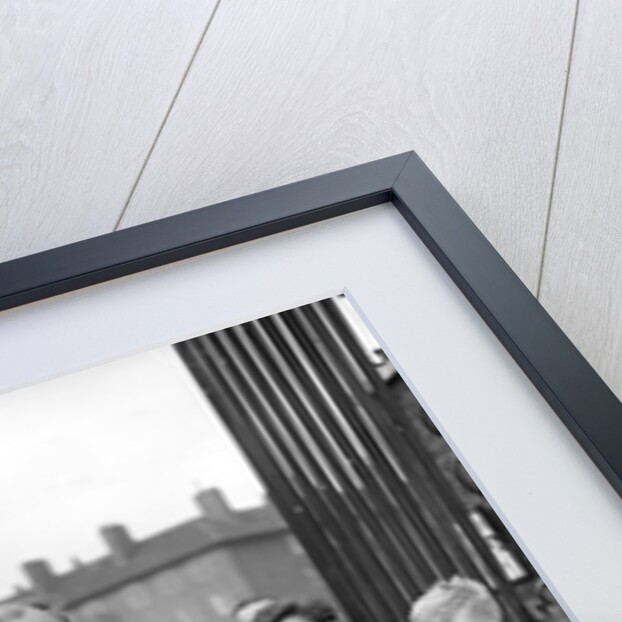 Cricketer Tony Lock at the Oval, 1956 by Associated Newspapers