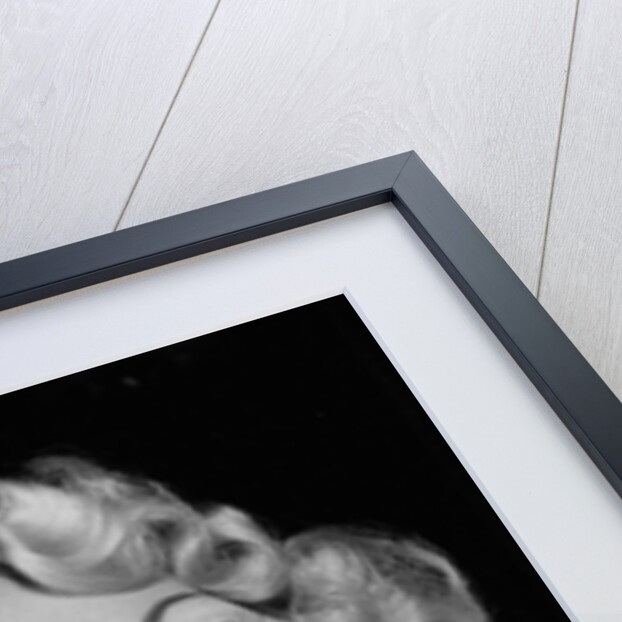 Carroll Baker by Associated Newspapers