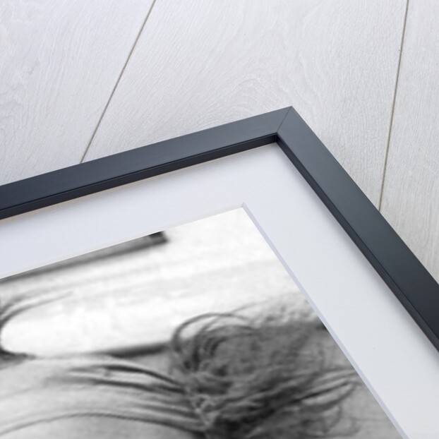 Frankie the Clown by Associated Newspapers