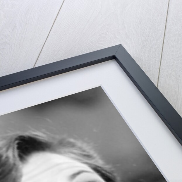 Carrie Fisher by Associated Newspapers