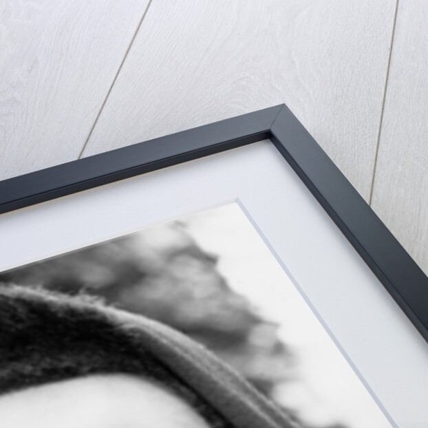 Grace Jones in style by Associated Newspapers