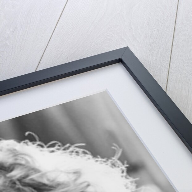 Roger Daltrey of The Who by Associated Newspapers