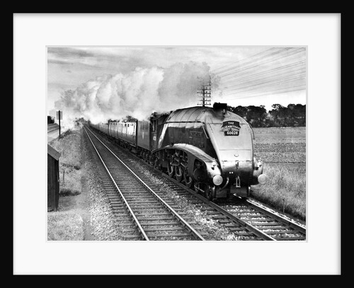 The Elizabethan 60028 by Associated Newspapers