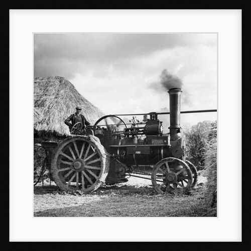 Traction engine on use on a farm by Associated Newspapers