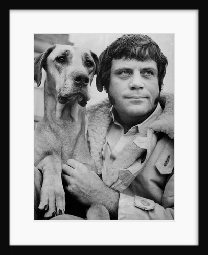 Oliver Reed, actor, with Tara the Great Dane by Associated Newspapers