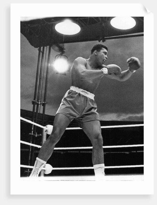 Muhammad Ali, boxer, 1963 by Associated Newspapers