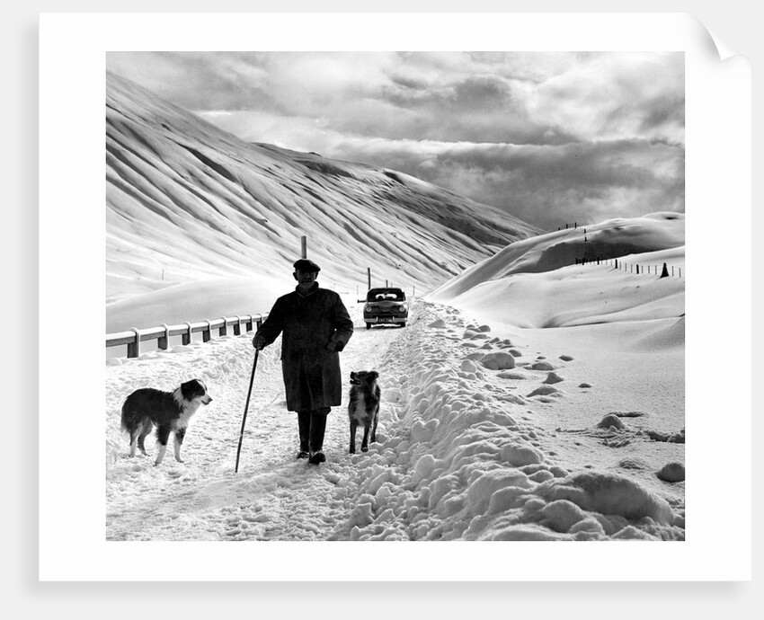 A shepherd in the snow by Associated Newspapers