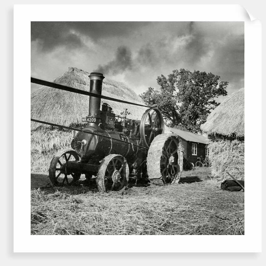 Traction engine driving  a threshing machine by Associated Newspapers