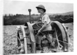 A Land Girl ploughing a field by Associated Newspapers