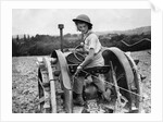 A Land Girl ploughing a field by Associated Newspapers