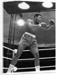 Muhammad Ali, boxer, 1963 by Associated Newspapers