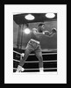 Muhammad Ali, boxer, 1963 by Associated Newspapers