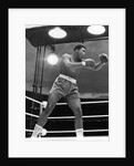 Muhammad Ali, boxer, 1963 by Associated Newspapers