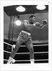 Muhammad Ali, boxer, 1963 by Associated Newspapers