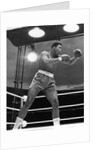 Muhammad Ali, boxer, 1963 by Associated Newspapers