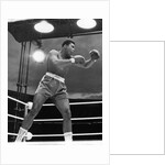 Muhammad Ali, boxer, 1963 by Associated Newspapers