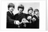 The Beatles with their MBEs by Associated Newspapers