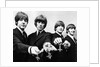 The Beatles with their MBEs by Associated Newspapers