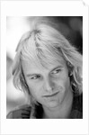 Sting in profile by Associated Newspapers