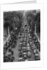 Coronation crowds by Associated Newspapers