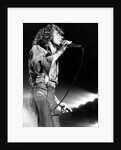 Roger Daltrey on stage by Associated Newspapers