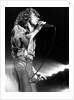 Roger Daltrey on stage by Associated Newspapers