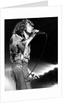 Roger Daltrey on stage by Associated Newspapers