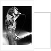 Roger Daltrey on stage by Associated Newspapers