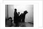 Piccadilly flower seller by Associated Newspapers