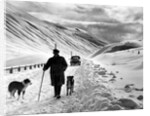 A shepherd in the snow by Associated Newspapers