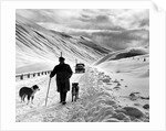 A shepherd in the snow by Associated Newspapers