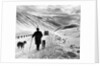A shepherd in the snow by Associated Newspapers