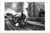 Steam train at Paddington by Associated Newspapers