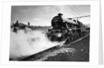 Bahamas steam engine. by Associated Newspapers