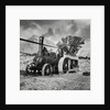 Traction engine driving  a threshing machine by Associated Newspapers
