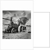 Traction engine driving  a threshing machine by Associated Newspapers