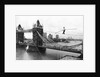Tightrope Walker by Associated Newspapers