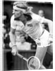 Bjorn Borg in action at Wimbledon by Associated Newspapers