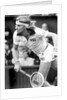 Bjorn Borg in action at Wimbledon by Associated Newspapers