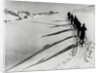 Skiers on the Streta Pass at Davos by Associated Newspapers