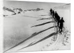 Skiers on the Streta Pass at Davos by Associated Newspapers