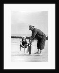 Cricket on the Beach by Associated Newspapers