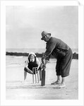 Cricket on the Beach by Associated Newspapers