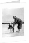 Cricket on the Beach by Associated Newspapers