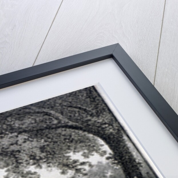 St James Park, from the Mall in front of St James's Palace, Westminster, London by John Thomas Smith