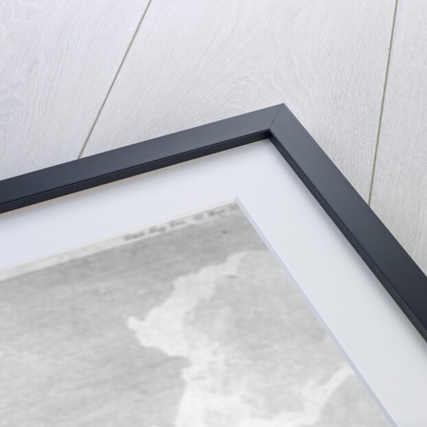 St Bartholomew-by-the-Exchange and St Benet Fink, City of London by George Hollis